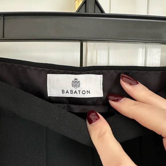 Aritzia Didi Babaton Black Pleated Skirt - Picture 10 of 12